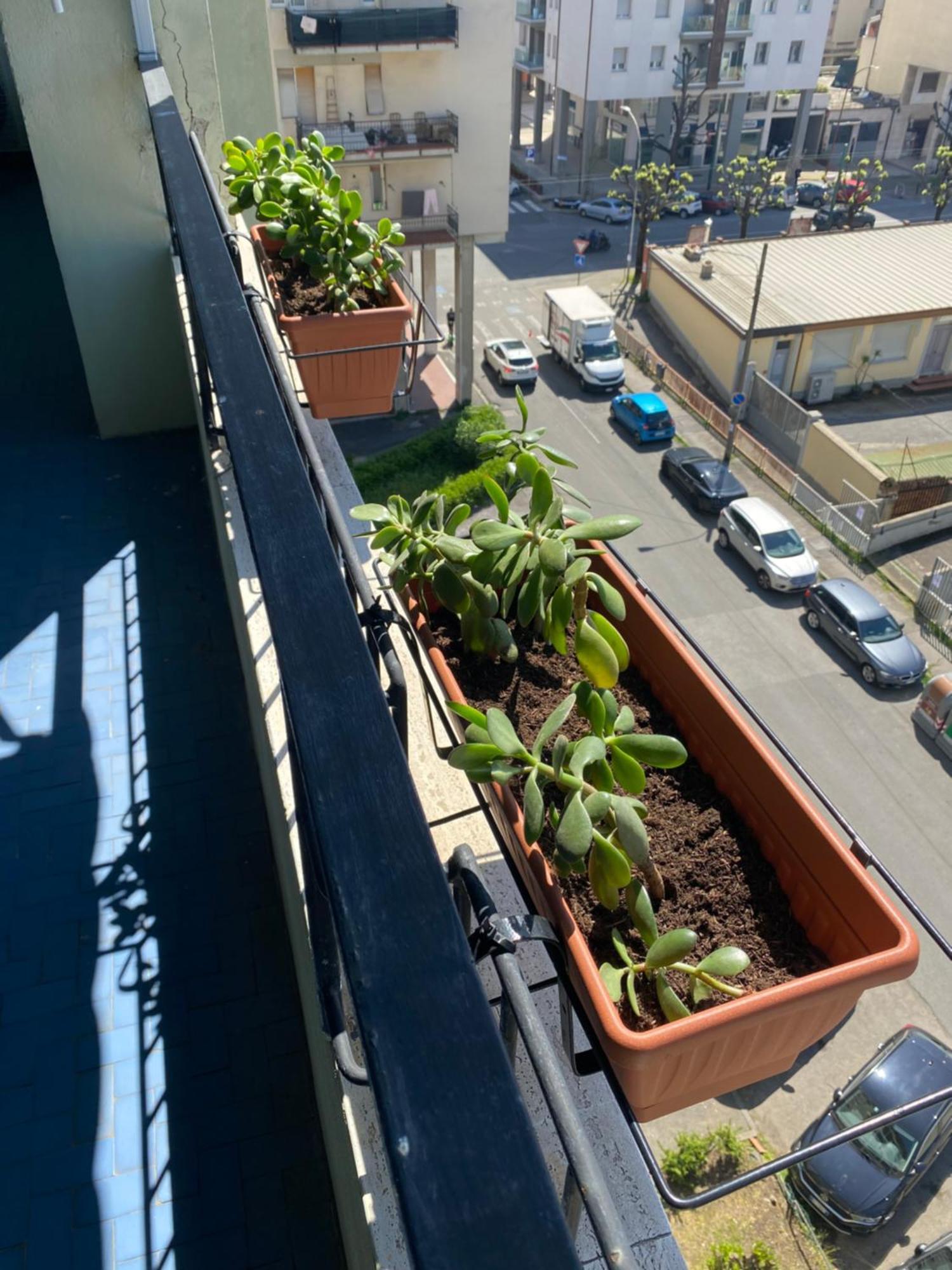 Foscolo 20 Appartement La Spezia Buitenkant foto